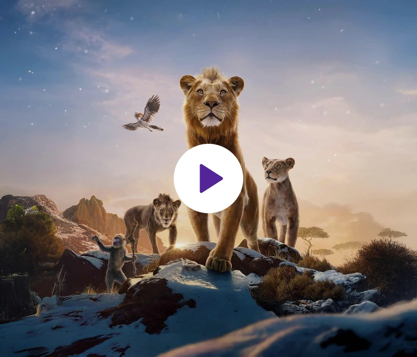 Entertainment Streaming Solutions for Movies, Shows, and Originals